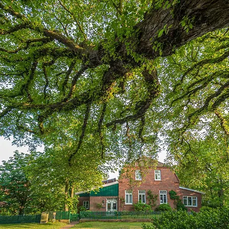 Apartmán Appartementhaus Westerloog 01-balkon Spiekeroog